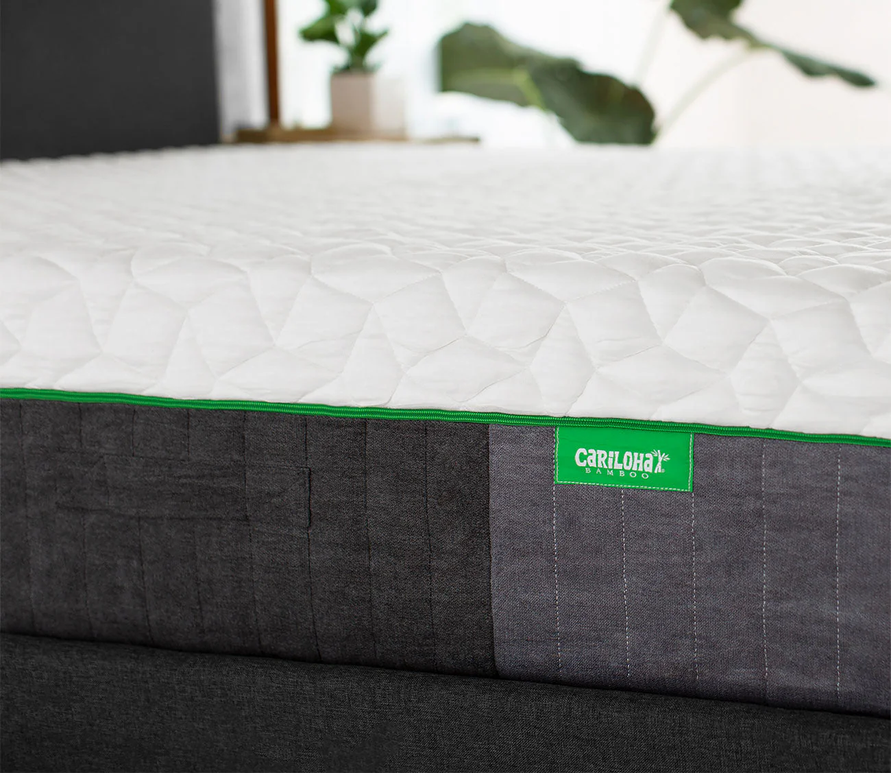 Cariloha Resort Bamboo Mattress - Image 4