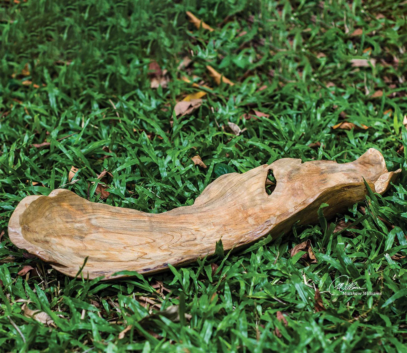 Uttermost Teak Leaf Bowl - Image 7